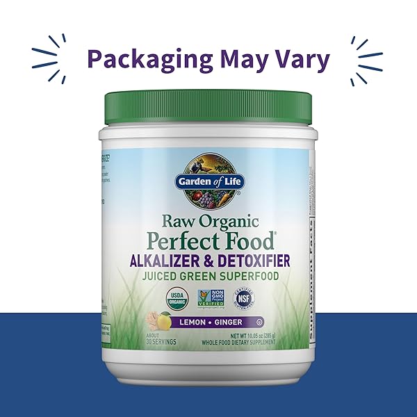 GARDEN OF LIFE RAW ORGANIC PERFECT FOOD ALKALIZER AND DETOXIFIER, LEMON GINGER FLAVORED SUPERFOOD POWDER SUPPLEMENT, 30 SERVINGS