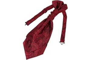 Epoint Cravat Necktie For Party Silk Pretied Ascot Cravat Tie 12 Inch Clip-On Adjustable