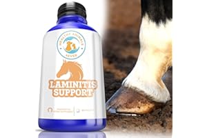 HealthyAnimals4Ever All-Natural Horse Laminitis Support - Horse Hoof Care Products for Damaged or Injured Hooves - Hoof Supplements for Horses - Homeopathic & Highly Effective - 300 Tablets