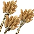 JOHOUSE 120PCS Dried Bunny Tail Grass, 16inch Dried Pampas Grass Natural Dried Lagurus ovatus for Boho Home Wedding Decor Dri