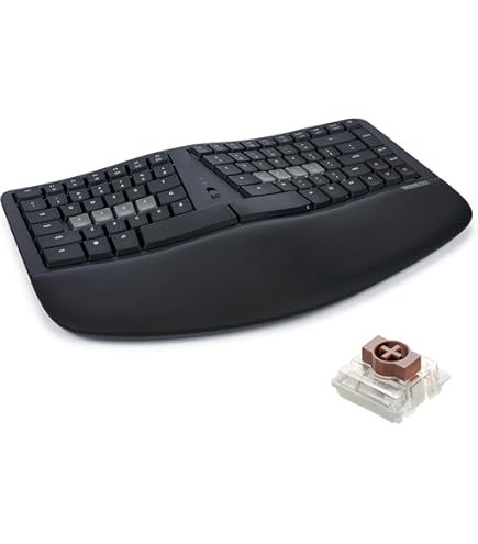 Amazon.com: Kinesis Savant Elite2 Programmable USB Foot