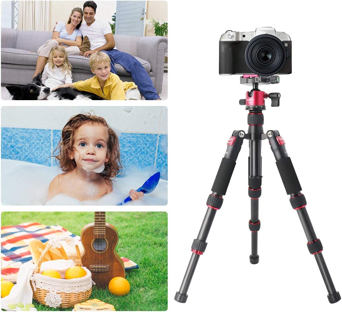 Koolehaoda Camera Mini Tripod - Image 4