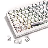 XVX PBT Keycaps - Shine Through Keycaps, Side Print