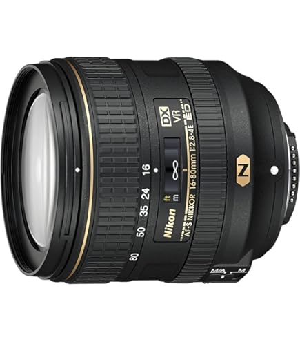 Amazon.com : Nikon AF-S DX NIKKOR 16-80mm f/2.8-4E ED Vibration 