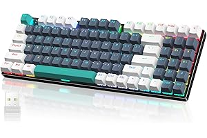RISOPHY Wireless Mechanical Keyboard,Triple-Mode 2.4G/USB-C/Bluetooth Gaming Keyboard with RGB Backlit,Efficient Numeric Pad,Red Switches,94 Keys Metal Base PBT Compact Quiet Wired Keyboard for PC Mac iPad