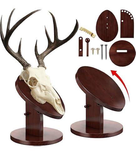 Deer Skull Pedestal Wall Mount