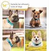 HEELE Reflective Dog Collar Nylon Padded Neoprene Sky Blue M 34-52cm view 2