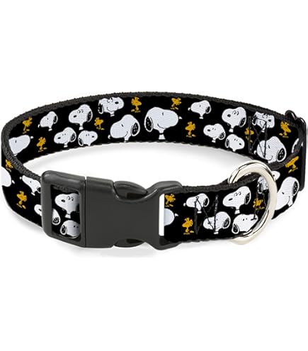 Amazon.com : Peanuts Worldwide LLC Pet Collar, Dog Collar