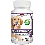 Mushroom Complex for Dogs - Immune Support for Dogs, Digestive Support, Dog Hip and Joint Health - with Turkey Tail, Lion's M