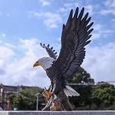RKGOMDMU Magnificent Bald Eagle Statue - Durable Resin Outdoor Garden Sculpture &amp; Yard Art Decor for Lawn, Patio, or Living Room &ndash; Large Lifelike Figurine, Weather-Resistant Finish