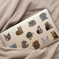 Cat Stickers,Funny Cat Meme, Kawaii for