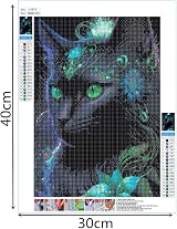 Tomoyuki 5D Diamond Art Kit Black Cat Diamond Painting DIY Pictures view 2