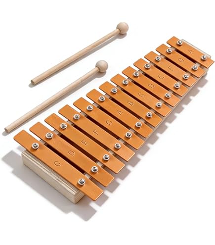 Amazon.com: zenon Xylophone 32 Sound F45 – C76 Shut Up, with ZX