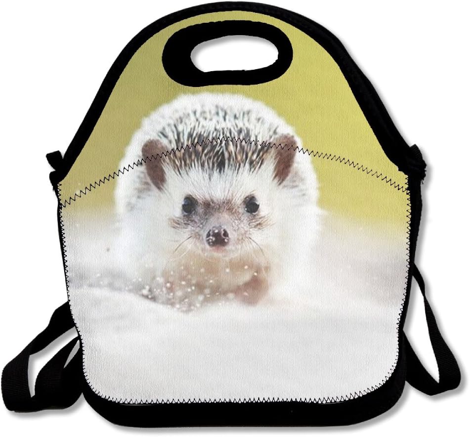 African Dwarf Hedgehog Reusable Insulated Lunch Bag School Picnic Thermal Carrying Gourmet Lunchbox Lunch Tote Container Organizer For Women,Teens,Adults-Lunch Boxes For Outdoors,Work, Office, Schoo