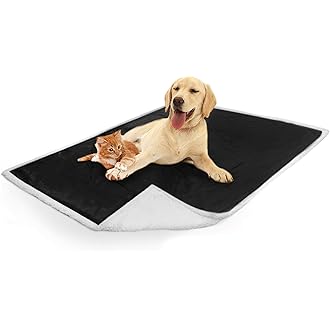 Dog blankets amazon Clearance