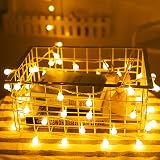 Rock Ninja Globe Fairy Lights 6M 40 LED Battery Powered Two Modes