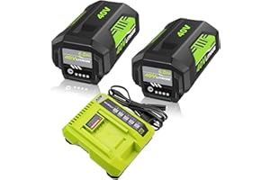 FHYBAT 2 Packs 6.0Ah Li-ion OP40601 Battery and OP401 Charger Replacement for Ryobi 40V Battery and Charger kit Compatible with Ryobi 40 Volt Battery OP4026 OP40601 OP4050A OP4040 OP4030 OP4050(Green)