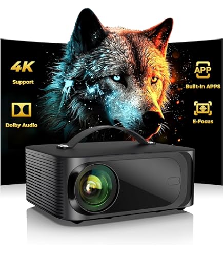 Amazon.com: Dell Computer 163TJ Dell 1610HD Projector : Electronics