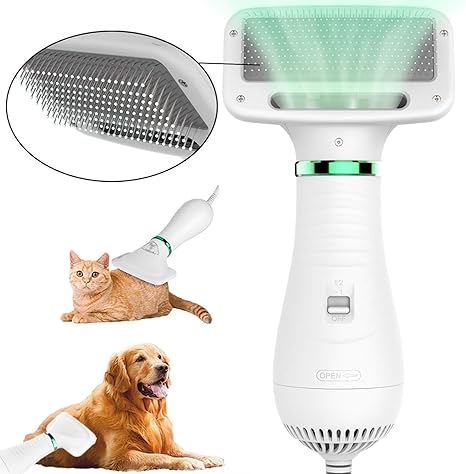 best dog dryer for home use