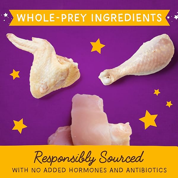STELLA & CHEWY’S FREEZE-DRIED RAW CAT & KITTEN FOOD TOPPER – MAGICAL DINNER DUST – PREMIUM CAGE-FREE CHICKEN – GRAIN-FREE, PROTEIN-RICH – PERFECT FOR PICKY EATERS – 7 OZ