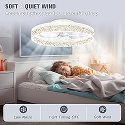 VOLISUN Modern Ceiling Fans with Lights and