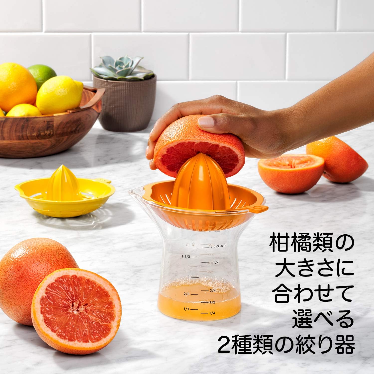 Amazon Oxo しぼり器 シトラスジューサー 2 In 1 大小セット ジューサー しぼり器 オンライン通販 Amazon Oxo しぼり器 シトラスジューサー 2 In 1 大小セット ジューサー しぼり器 オンライン通販