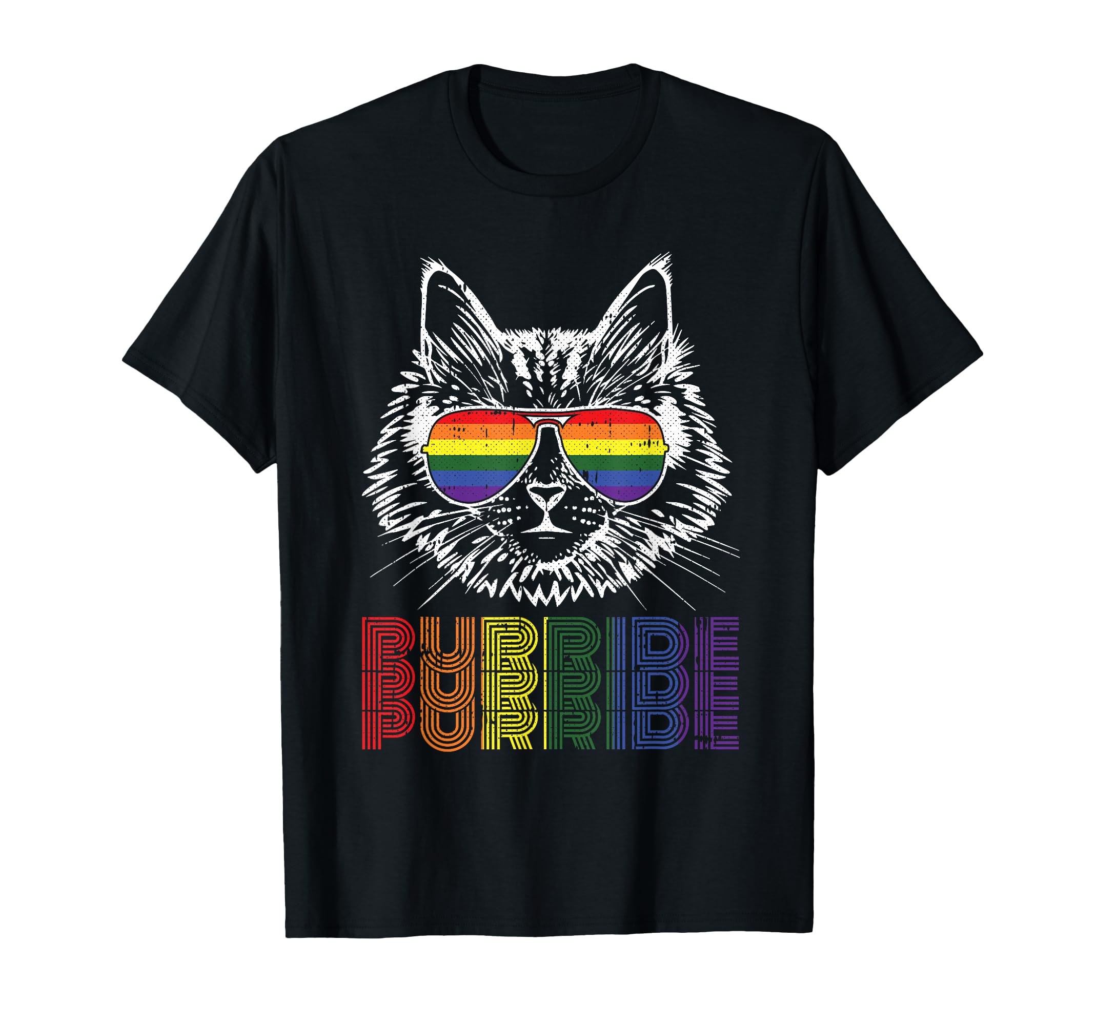 Purride Gay Pride Cute Cat Kitten Pet Lover LGBT-Q Ally T-Shirt