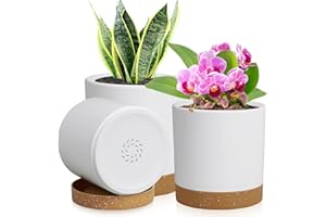 WSMKSZ 3 Pack 6/5/4 inch Cylindrical Flower Pots, Modern Small Round Plastic Plant Pots with Drainage Holes & Saucers, Clean and Refined Planter Pots for Outdoor, Indoor & Office Decor (White Brown)