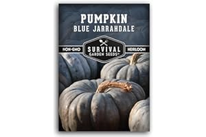 Blue Jarrahdale Pumpkin Seeds for Planting | Heirloom Non-GMO Variety with Decorative Blue-Gray Skin & Sweet Flesh for Baking, Fall Decor – Survival Garden Seeds (1 Pack)