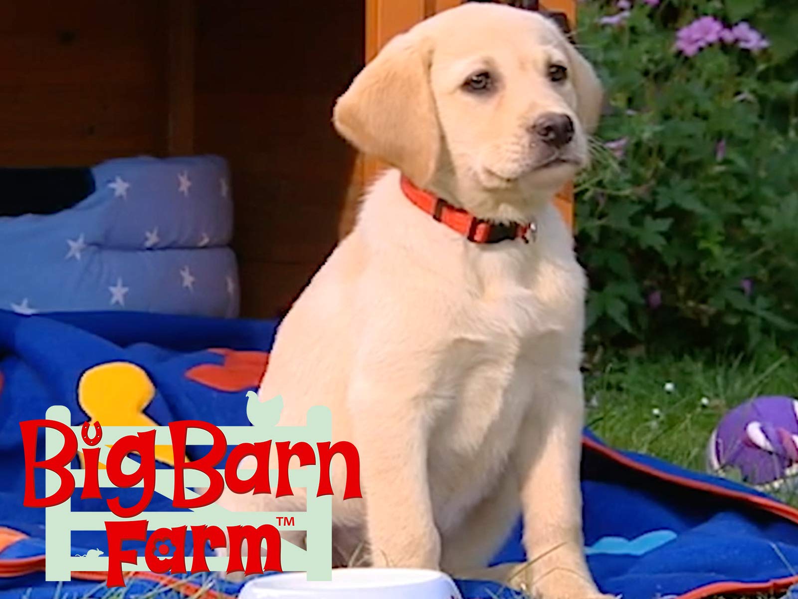 Watch Big Barn Farm Prime Video
