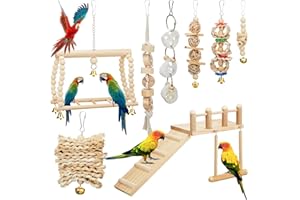 Sonwyoung 10 Pcs Parrot Swing Toys and Bird Perches Platform with Climbing Ladder Chewing Standing Hanging Parakeet Toys Bird Cage Accessories for Budgerigar Conure Cockatiel
