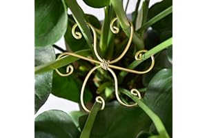 GOOOXIM 5PCS Monstera Plant Stem Support Stakes - 5.5 * 5.5IN Metal Supports for Monstera and Fishbone Cactus, Sturdy Frame, Easy Installation, Flexible Protection for Healthy Growth Indoors