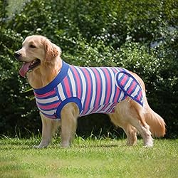 IDOMIK Dog Surgery Recovery Suit, Soft Comfortable