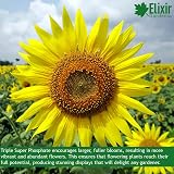 Elixir Gardens Triple Super Phosphate Fertiliser 0-46-0 For Fruit Veg Flowers view 4
