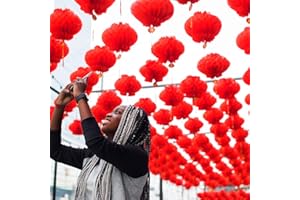 Pangda 30 Packs 8 Inch Chinese Red Paper Lanterns for 2025 Chinese New Year Decorations, Spring Festival Decoration to Drive off Bad Luck