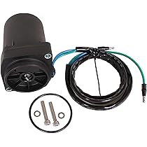 Amazon.com: Boat Engine 8M0142591 8M0089940 Tilt & Trim Motor for  
