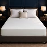 Queen Mattress Protector Tencel Luxury 100% Waterproof Mattress Cover | Silky Soft &amp; Breathable,Cooling Mattress Pad Cover Queen Fitted 18" Deep Pocket Noiseless,60"x80"