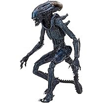 NECA (ACTION FIGURE) ALIEN＆PREDATOR 7インチ 71D5BuwsodL._AC_UL210_SR210,