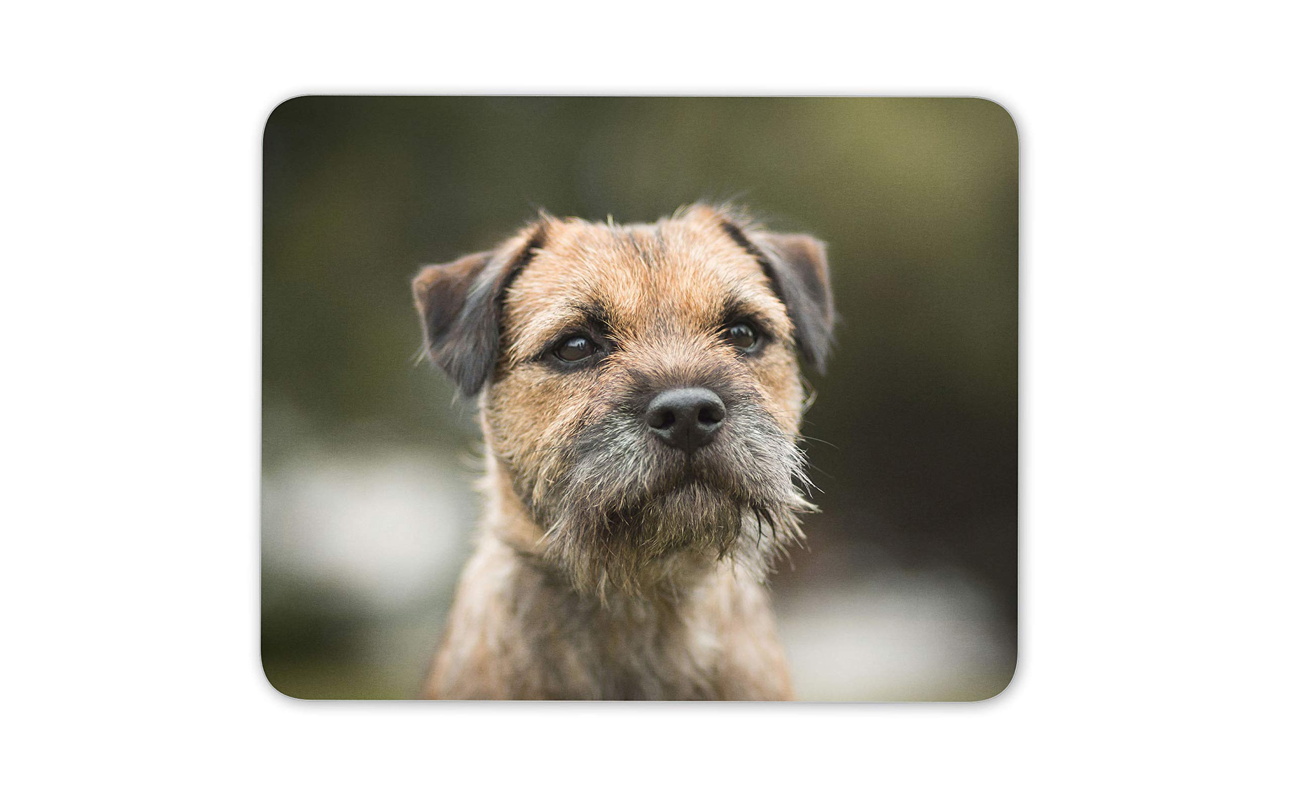 Destination Vinyl Ltd Border Terrier Mouse Mat Pad - Dog Puppy Cute Cheeky Kids Computer #15940