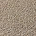 Tranquility Toffee 24 in. x 24 in. Residential Carpet Tile (10 Tiles / Case)