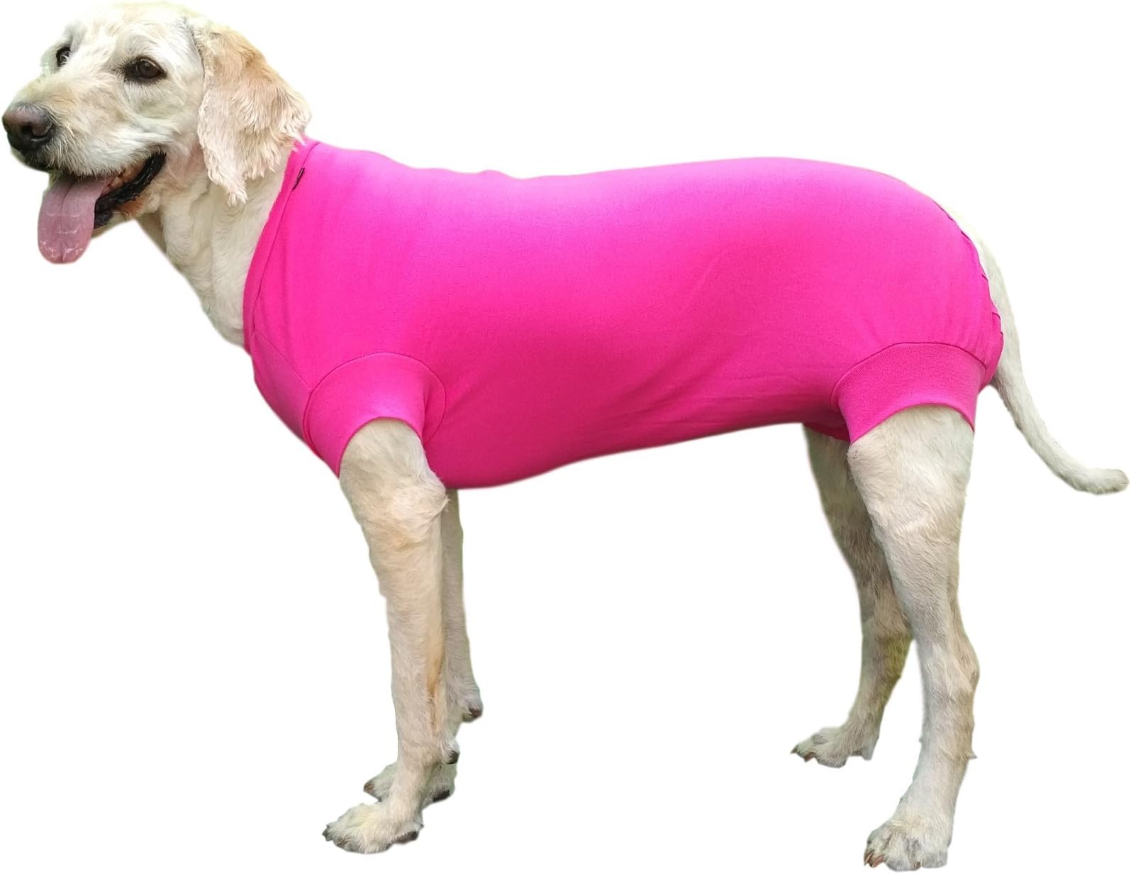 VetMedWear Suit, Protective Wear Recovery Suit for Wound and Bandage Protection. After Dog Surgery, Hot Spots, and Skin Disease. E-Collar Alternative for Dog Wound. Dog After Surgery Wear.
