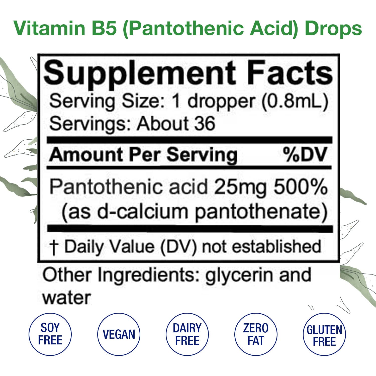 Vitamin B5 Pantothenic Acid Liquid Drops - Made in USA - 500% DV per Serving - 36 Servings per Container - Great for Men, Women, Children - Vegan Liquid Vitamins - Bulk Sizes Also Available