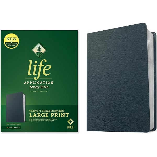 KJV Life Application Study Bible, Third Edition, Large Print