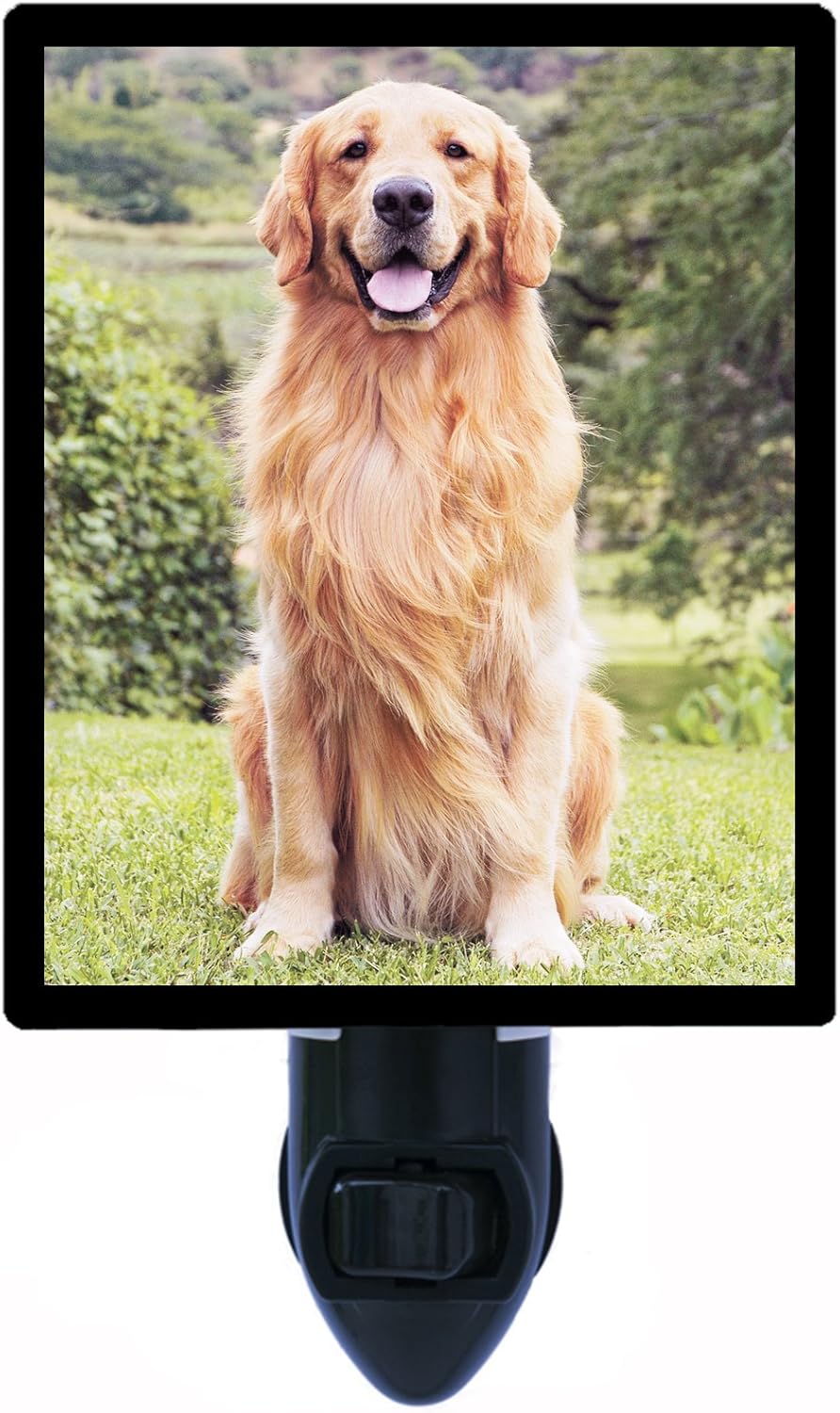 Dog Night Light Golden Retriever Pet LED Night Light Amazon.ca Home & Kitchen