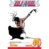 Bleach, Vol. 44