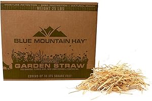 Blue Mountain Hay | Organic Garden Straw (25 lb) | Natural Mulch for Gardening, Flower Beds, Yard Landscaping, New Lawn Grass Seeding, Composting | Covers up to 375 sq ft