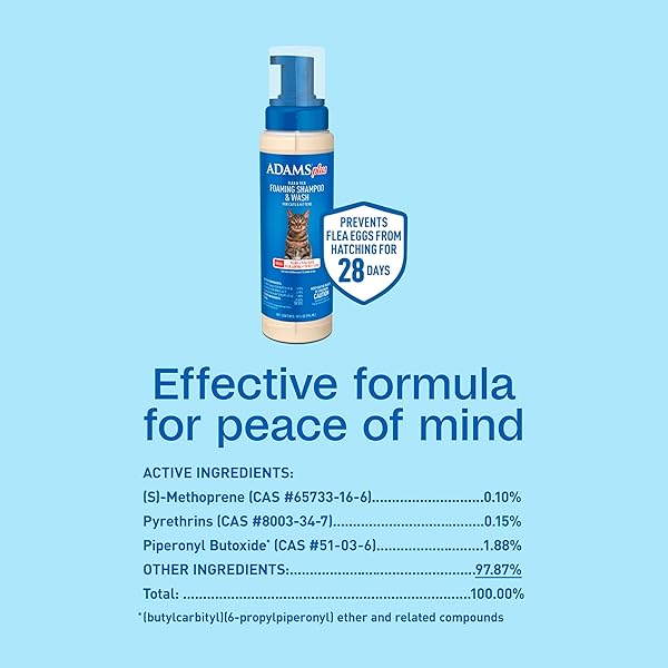 ADAMS PLUS FLEA & TICK FOAMING SHAMPOO & WASH FOR CATS & KITTENS OVER 12 WEEKS, SENSITIVE SKIN FLEA TREATMENT FOR CATS & KITTENS, KILLS ADULT FLEAS, TICKS AND LICE ON CONTACT, 10 OUNCES