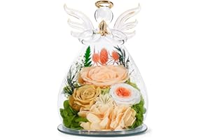 Bessol Birthday Gifts for Women Mom Preserved Roses in Glass Angel Figurines Fresh Flowers for Delivery Forever Flowers Eternal Rose Christmas for Grandma Sister Wife Her from Daughter