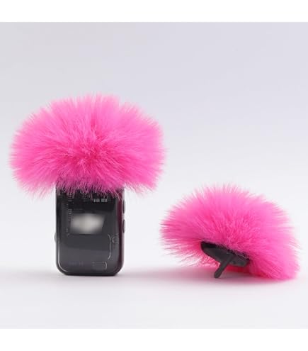 Amazon.com: LEFXMOPHY Windscreen for DJI MIC MINI (2024) Wireless