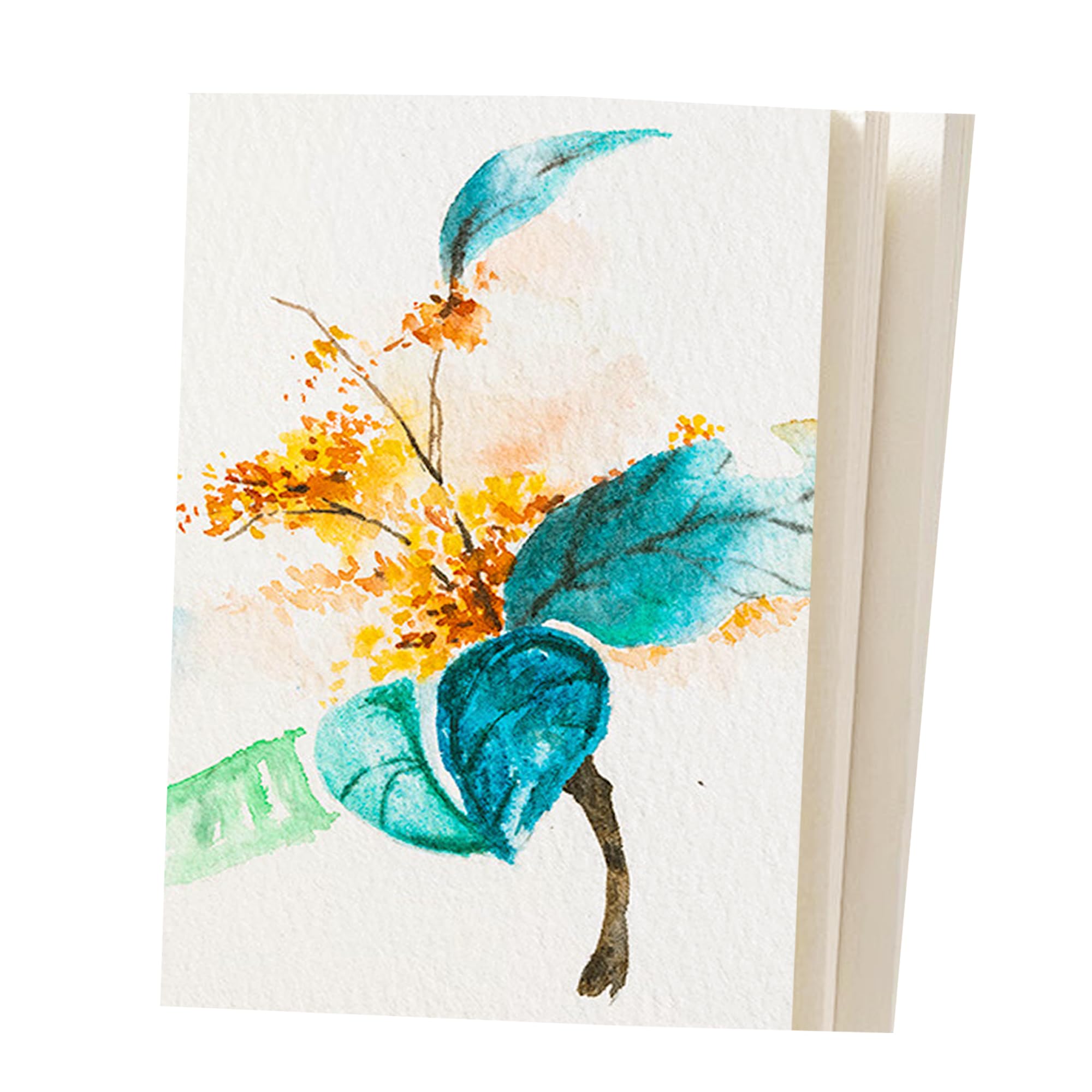 Watercolour Paper 300 GSM, 100% Cotton Art Supplies Watercolour Colouring Book, Painting Paper Postcards for Children Students Teachers Artists Gouache